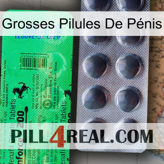 Grosses Pilules De Pénis new04